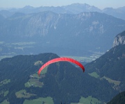 Foto des Tages