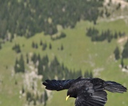 Foto des Tages