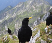 Foto des Tages