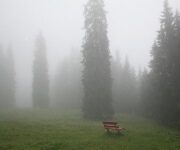 Foto des Tages