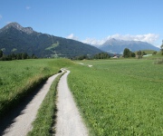 Foto des Tages