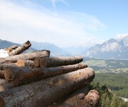 Foto des Tages