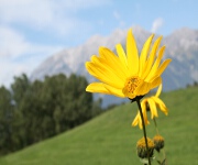 Foto des Tages