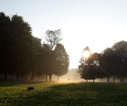 Foto des Tages