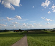 Foto des Tages