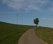 Foto des Tages