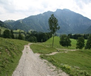 Foto des Tages