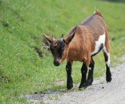 Foto des Tages