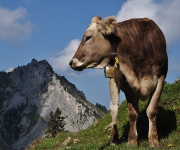 Foto des Tages