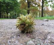 Foto des Tages