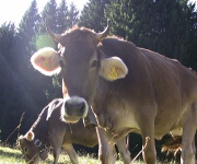 Foto des Tages