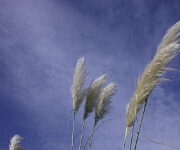 Foto des Tages