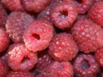 Himbeeren