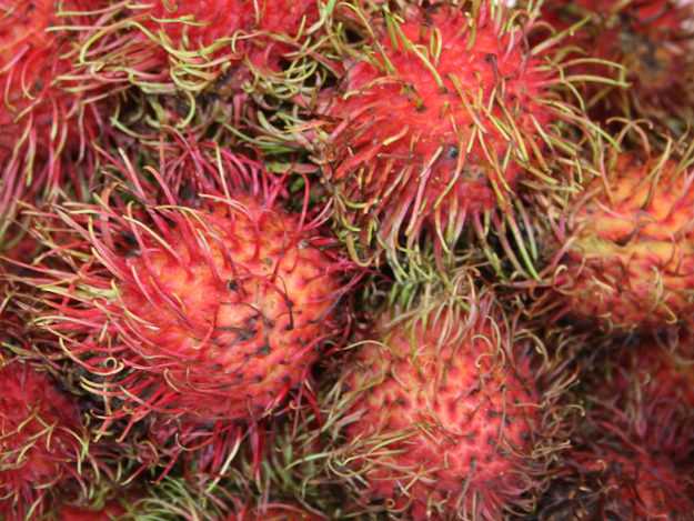 Rambutan