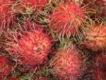 Rambutan