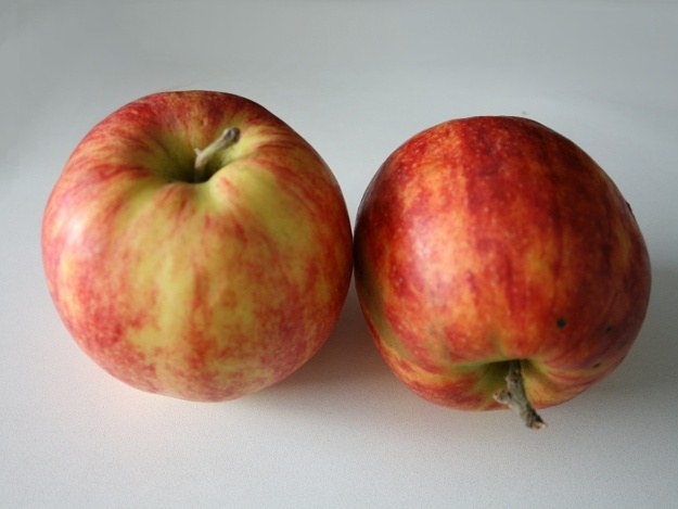 Apfel