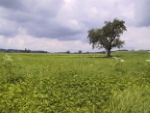 Allgäu-Panorama