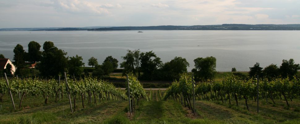 Aussicht von Kloster Birnau auf den Bodensee