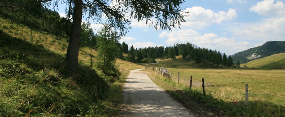 Wanderung zum Johanneswasserfall bei Obertauern