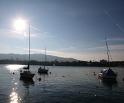 Zürichsee