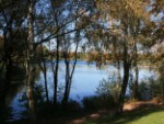 Garchinger See