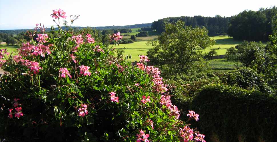 Idylle im Kloster St. Ottilien