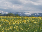 Frühling im Allgäu