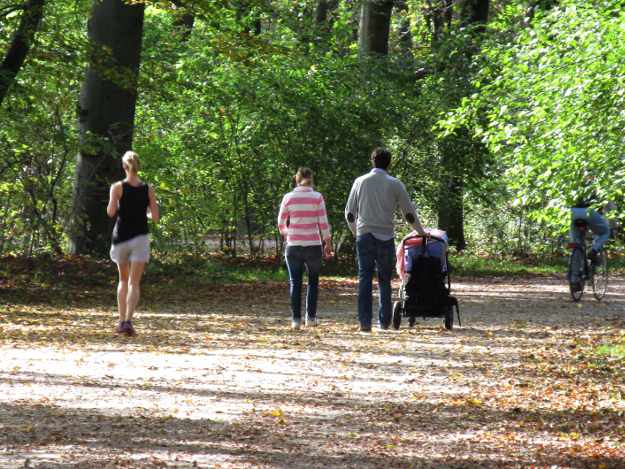 Herbsttag im Park