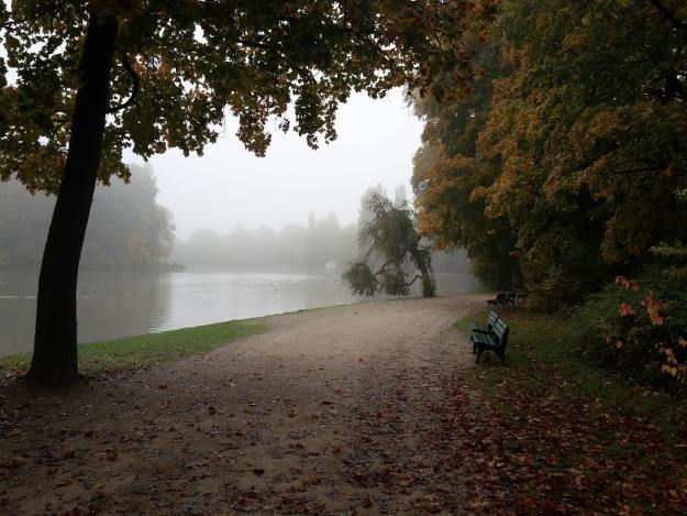 nebliger Herbsttag im Englischen Garten