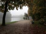 Nebliger Herbsttag im Englischen Garten