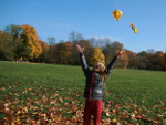 Herbstblätter