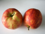 Apfel