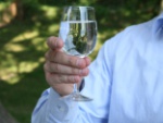 Wasserglas