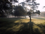 Englischer Garten in München
